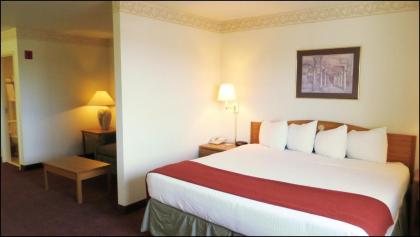 Peppermill Empress Inn - image 14