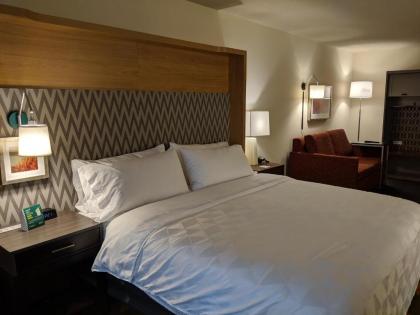 Holiday Inn - Champaign an IHG Hotel - image 9