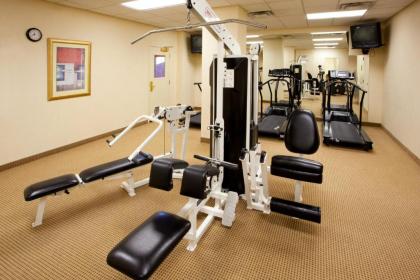 Holiday Inn Chantilly-Dulles Expo Airport an IHG Hotel - image 17