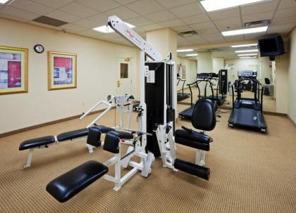 Holiday Inn Chantilly-Dulles Expo Airport an IHG Hotel - image 8
