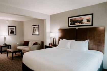 Wingate by Wyndham - Dulles International - image 12