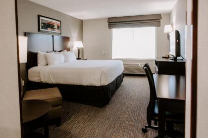 Wingate by Wyndham - Dulles International - image 3