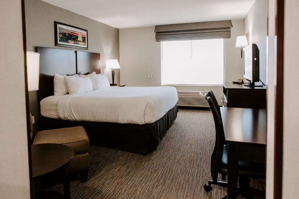 Wingate by Wyndham - Dulles International - image 3