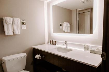 Wingate by Wyndham - Dulles International - image 7