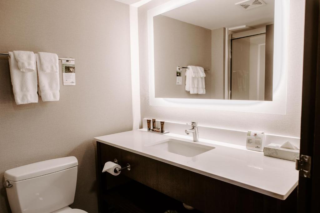 Wingate by Wyndham - Dulles International - image 7
