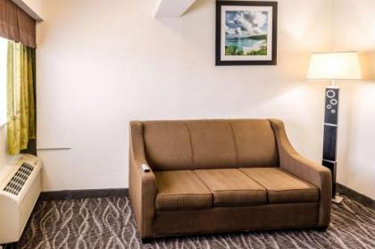 Comfort Inn Downtown Charleston - image 5