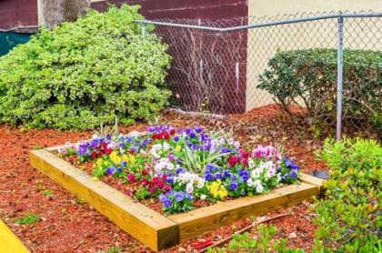 Motel 6-Charleston SC - South - image 2