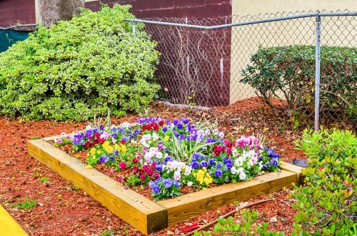 Motel 6-Charleston SC - South - image 2