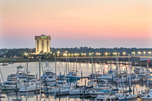 Holiday Inn Charleston-Riverview an IHG Hotel - main image