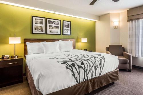 Sleep Inn Charleston - West Ashley - image 5