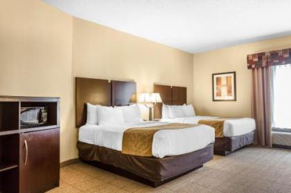 Comfort Suites Charleston West Ashley - image 3