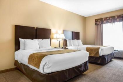 Comfort Suites Charleston West Ashley - image 4