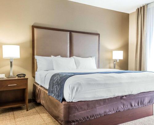 Comfort Suites at Isle of Palms Connector - image 4