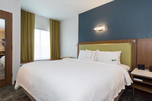 SpringHill Suites by Marriott Charlotte Ballantyne - image 3