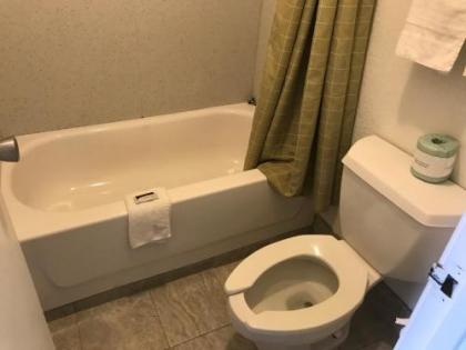 Royal Inn - image 4