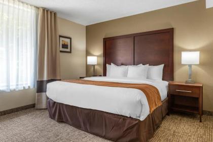 Comfort Inn Charlotte Airport Uptown - image 15