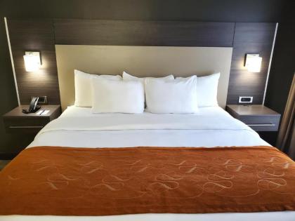 Comfort Suites Northlake - image 16