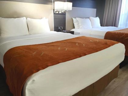 Comfort Suites Northlake - image 19