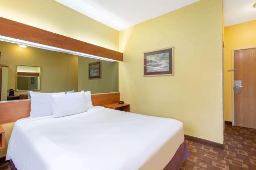 Microtel Inn & Suites by Wyndham Charlotte/Northlake - image 4