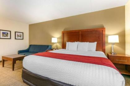 Comfort Inn Downtown Chattanooga - image 5