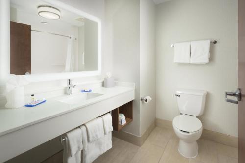 Holiday Inn Express Hotel & Suites Chattanooga Downtown an IHG Hotel - image 4