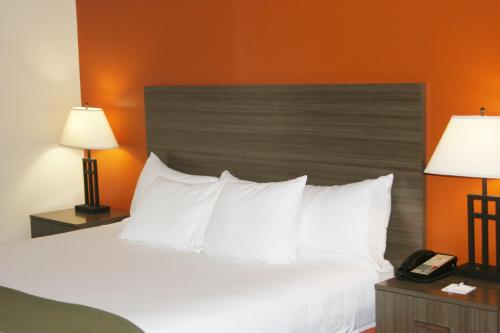 Holiday Inn Express Hotel & Suites Chattanooga-Lookout Mountain an IHG Hotel - image 2
