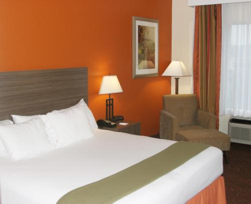 Holiday Inn Express Hotel & Suites Chattanooga-Lookout Mountain an IHG Hotel - image 3