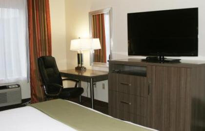 Holiday Inn Express Hotel & Suites Chattanooga-Lookout Mountain an IHG Hotel - image 4