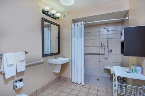 Staybridge Suites Chattanooga Downtown - Convention Center an IHG Hotel - image 4