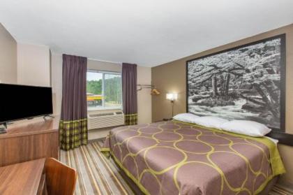 Super 8 by Wyndham Chattanooga Lookout Mountain TN - image 3