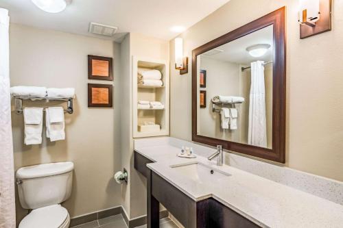 Comfort Inn & Suites Lookout Mountain - image 5