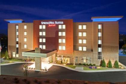 SpringHill Suites by Marriott Downtown Chattanooga/Cameron Harbor