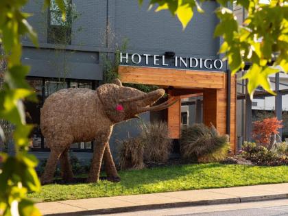 Hotel Indigo Chattanooga   Downtown an IHG Hotel