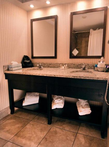 Buffalo Airport Hotel - image 12