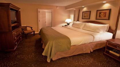 Buffalo Airport Hotel - image 13
