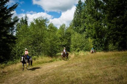 Chehalis Camping Resort Cottage 1 - image 13
