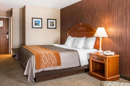 Comfort Inn Chelsea - image 12