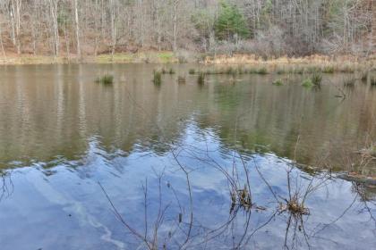On Lake Time - image 15