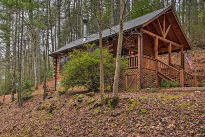 Little Rock Creek Cabin - 10 Mins to Blue Ridge! - image 8