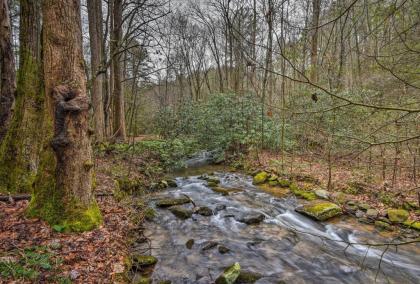 Little Rock Creek Cabin - 10 Mins to Blue Ridge! - image 9