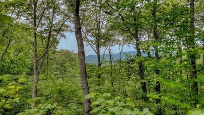 Lil' Slice of Heaven by Escape to Blue Ridge - image 11