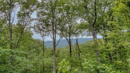 Lil' Slice of Heaven by Escape to Blue Ridge - image 14