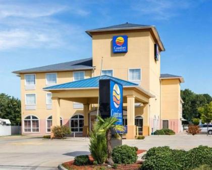 Comfort Inn & Suites Chesapeake - Portsmouth - image 1