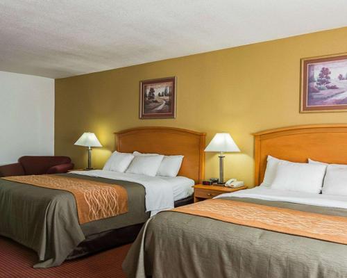 Comfort Inn & Suites Chesapeake - Portsmouth - image 5