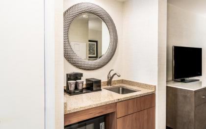 Embassy Suites by Hilton Philadelphia Valley Forge - image 2
