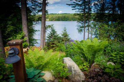 The Fern Lodge - image 12