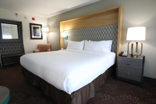 Holiday Inn O'Hare Area an IHG Hotel - image 2