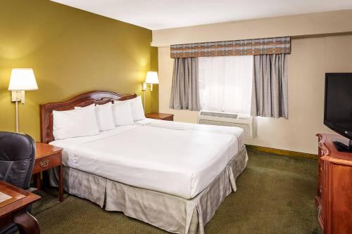 Chicago Lakeshore Hotel - image 4
