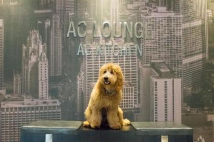 AC Hotel Chicago Downtown - image 4