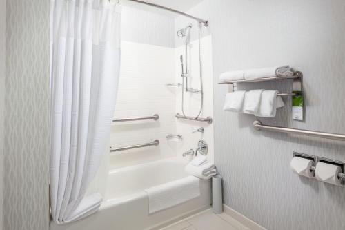 SpringHill Suites Chicago Downtown/River North - image 4